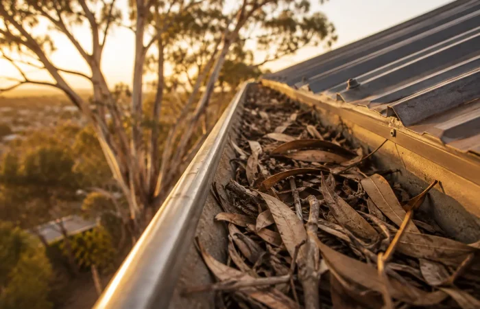 How Often To clean Gutters